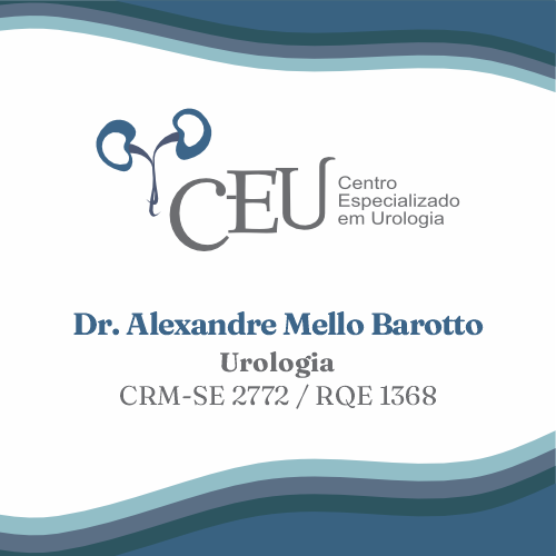 ALEXANDRE MELLO BAROTTO