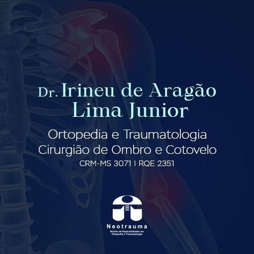 IRINEU DE ARAGÃO LIMA JUNIOR