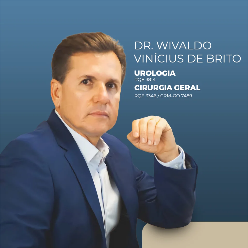WIVALDO VINÍCIUS DE BRITO